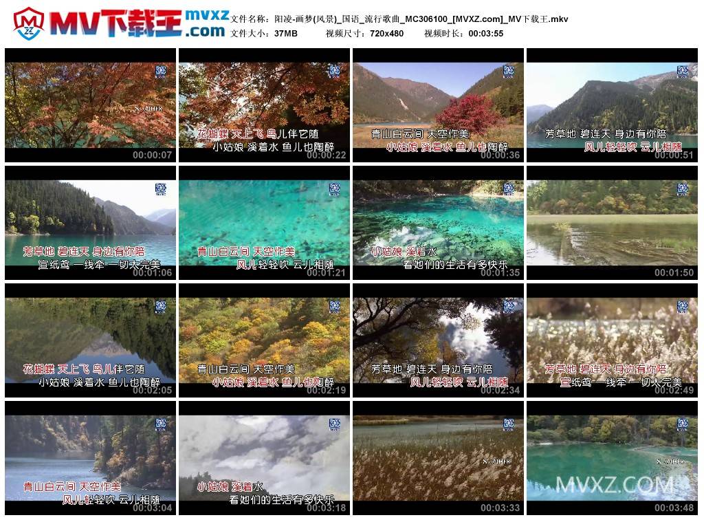 阳凌-画梦(风景)_国语_流行歌曲_MC306100